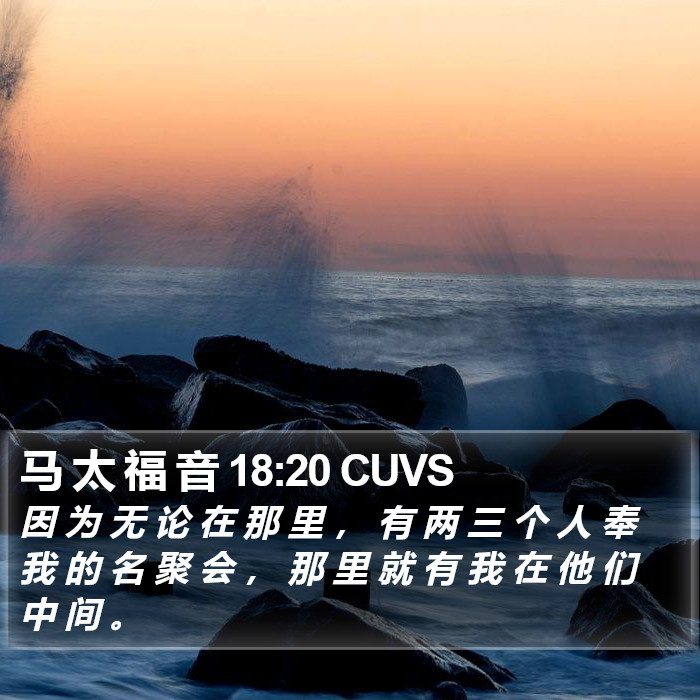 马 太 福 音 18:20 CUVS Bible Study