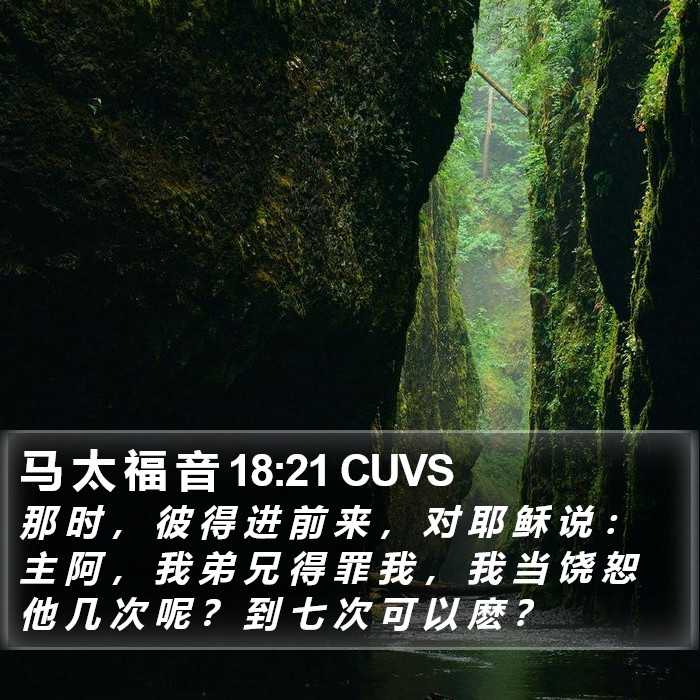 马 太 福 音 18:21 CUVS Bible Study