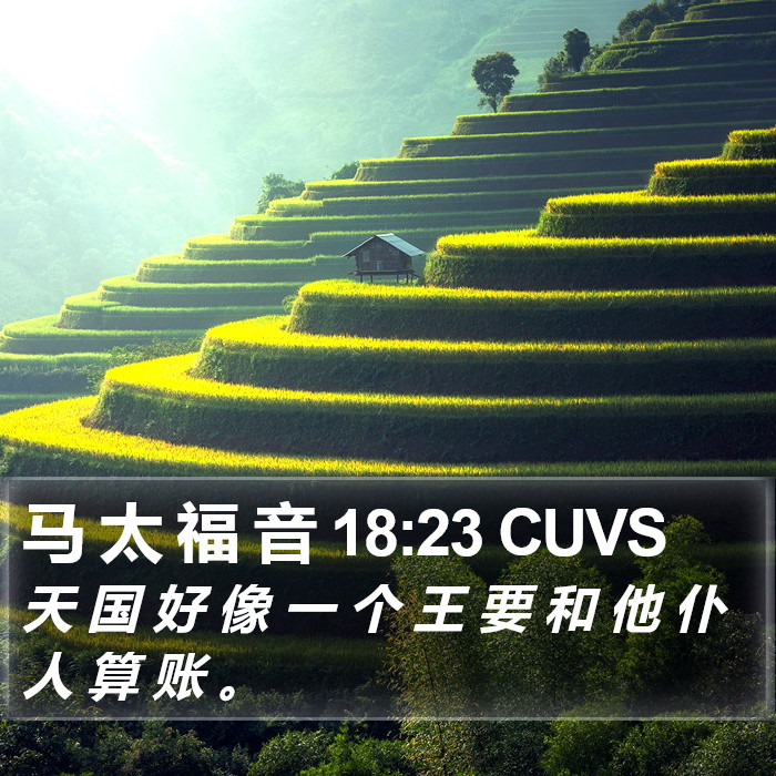 马 太 福 音 18:23 CUVS Bible Study