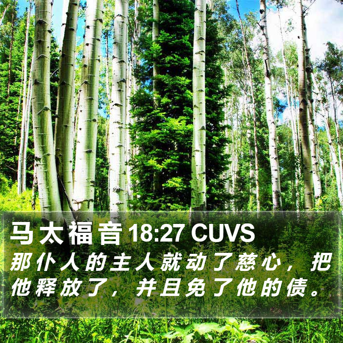 马 太 福 音 18:27 CUVS Bible Study