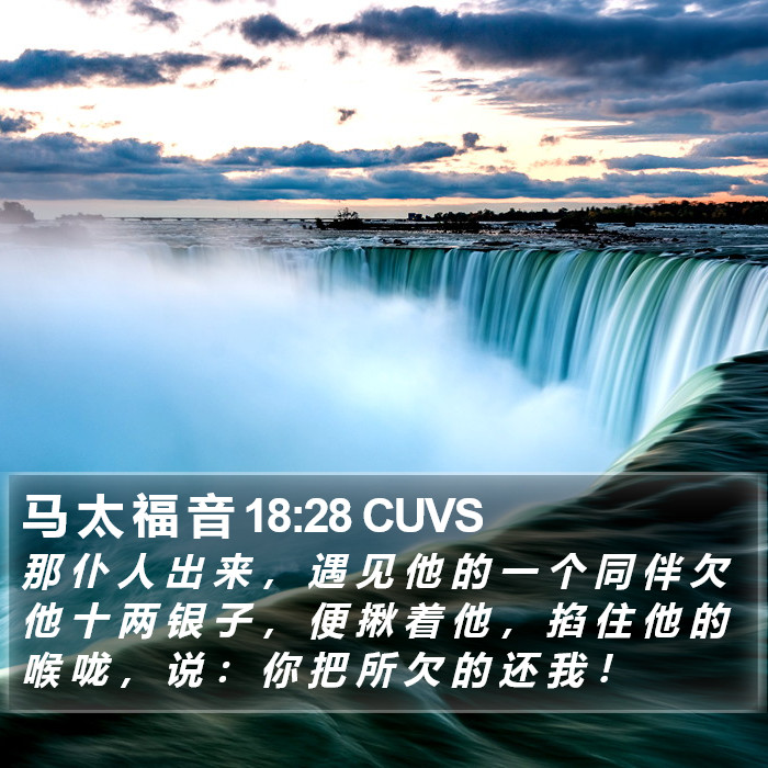 马 太 福 音 18:28 CUVS Bible Study