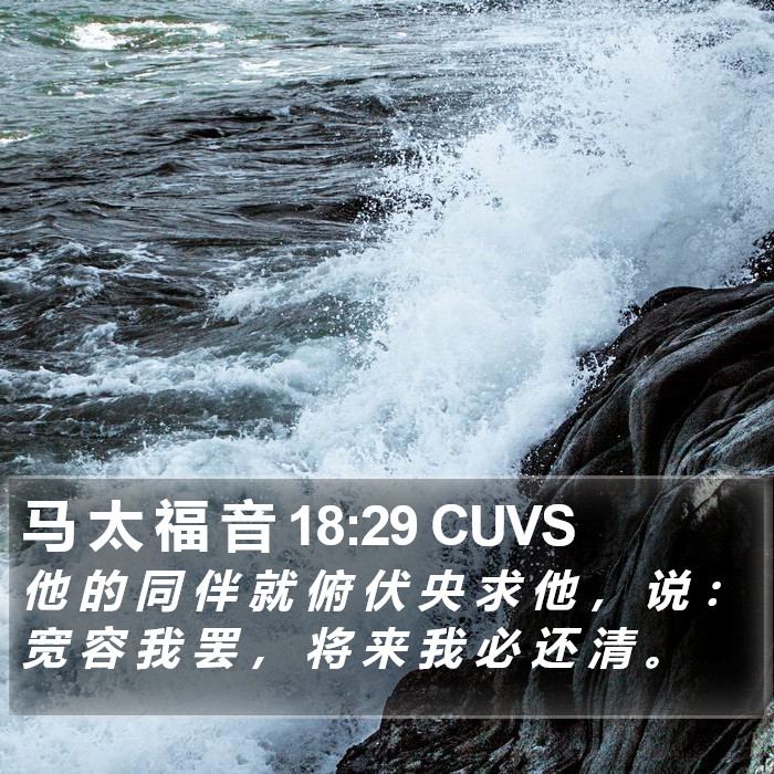 马 太 福 音 18:29 CUVS Bible Study