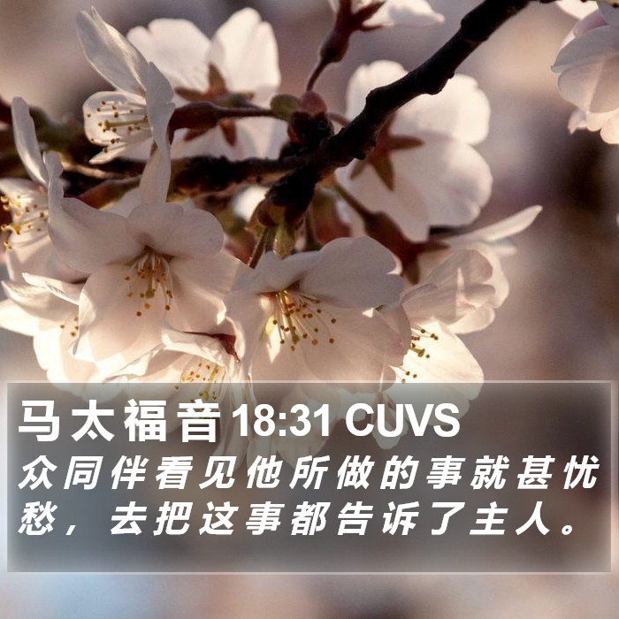 马 太 福 音 18:31 CUVS Bible Study