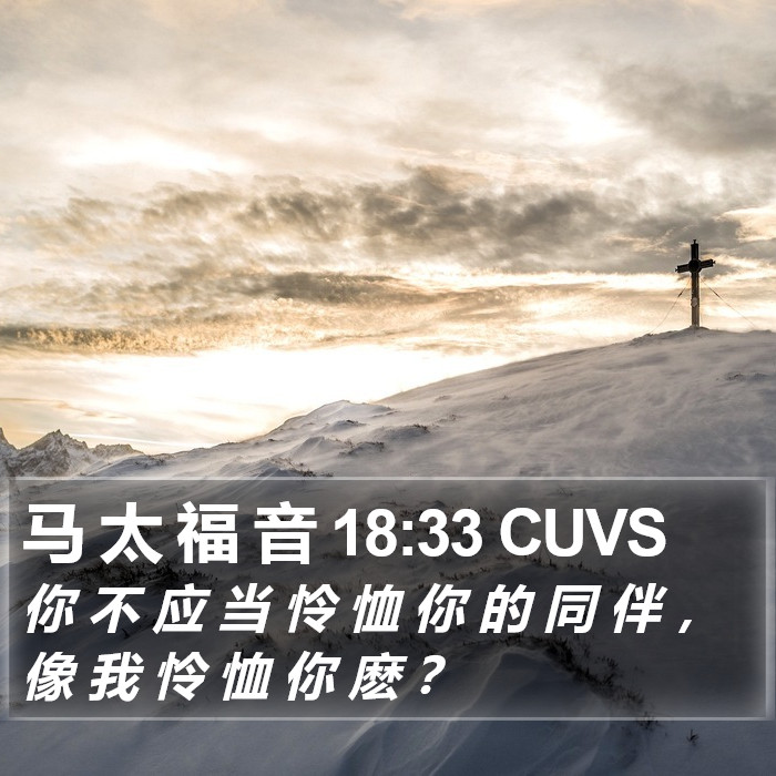 马 太 福 音 18:33 CUVS Bible Study