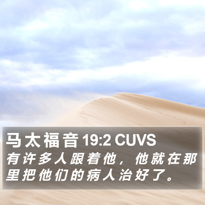 马 太 福 音 19:2 CUVS Bible Study