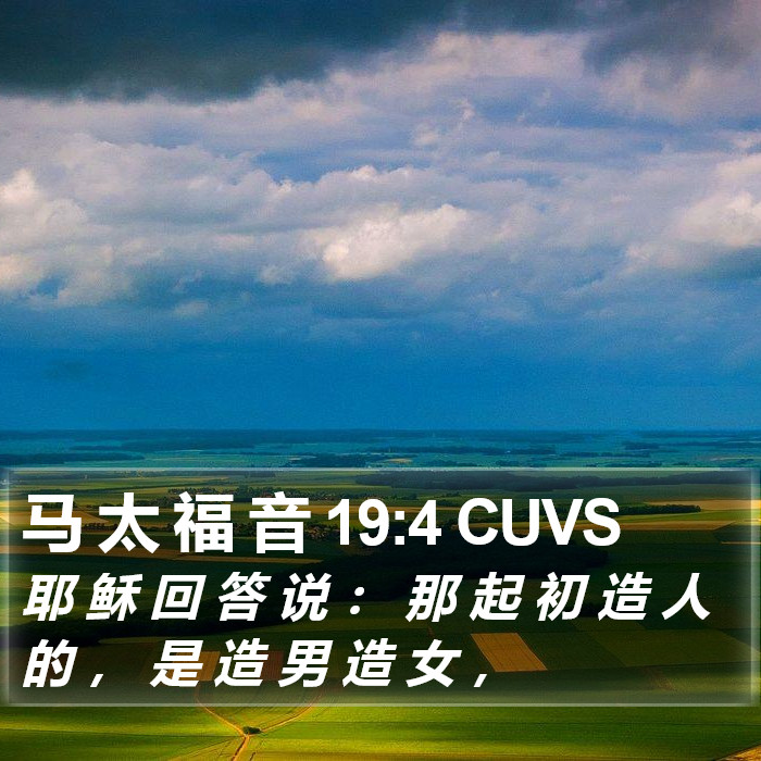 马 太 福 音 19:4 CUVS Bible Study