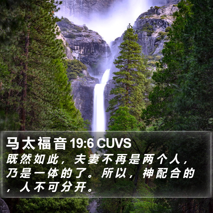 马 太 福 音 19:6 CUVS Bible Study