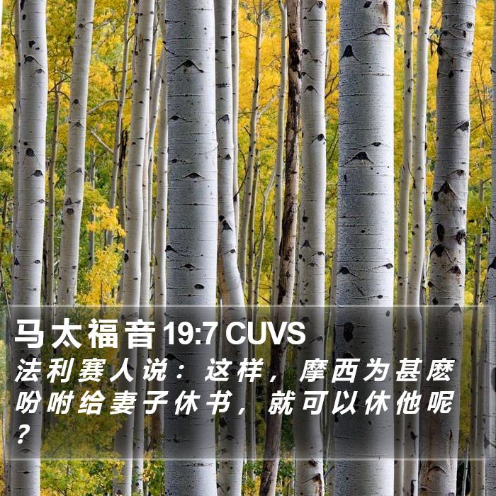 马 太 福 音 19:7 CUVS Bible Study