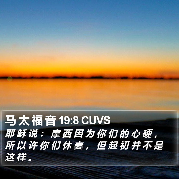 马 太 福 音 19:8 CUVS Bible Study