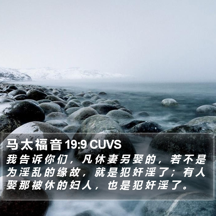 马 太 福 音 19:9 CUVS Bible Study