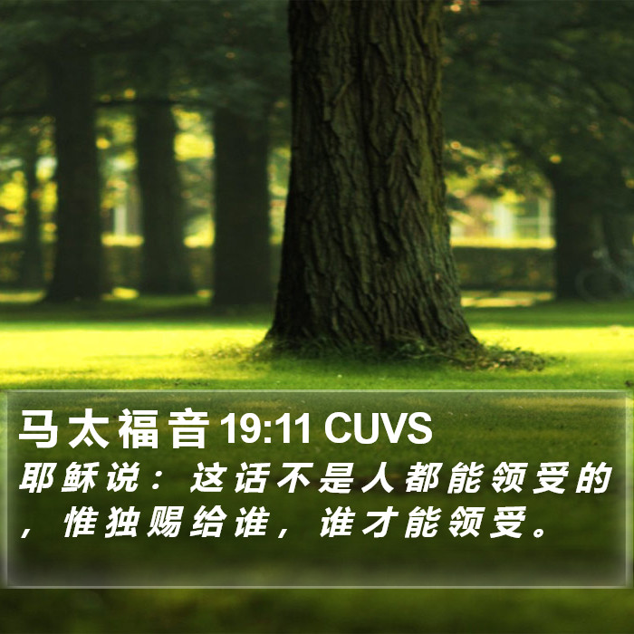 马 太 福 音 19:11 CUVS Bible Study