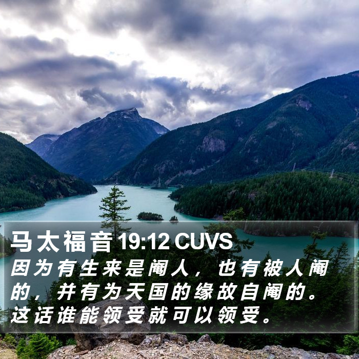 马 太 福 音 19:12 CUVS Bible Study