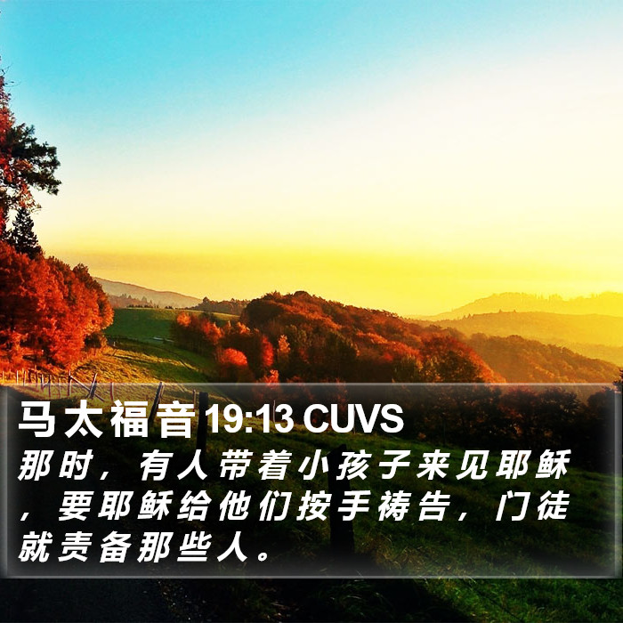 马 太 福 音 19:13 CUVS Bible Study