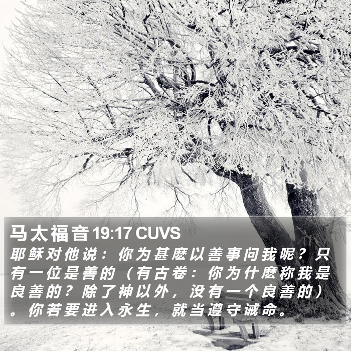 马 太 福 音 19:17 CUVS Bible Study