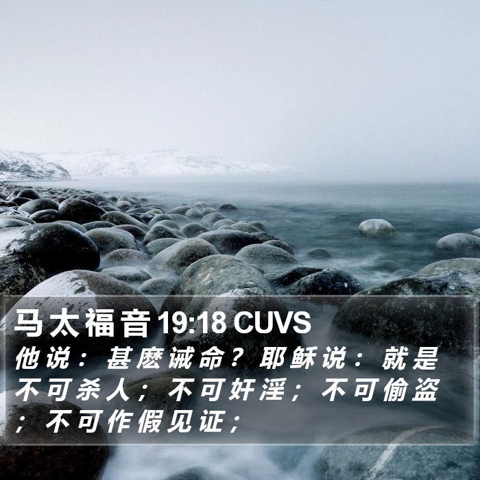 马 太 福 音 19:18 CUVS Bible Study