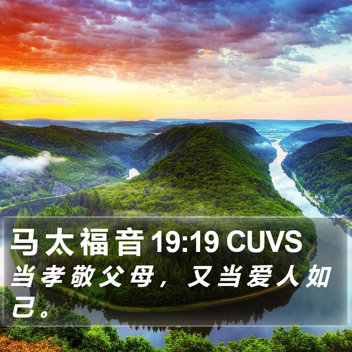 马 太 福 音 19:19 CUVS Bible Study