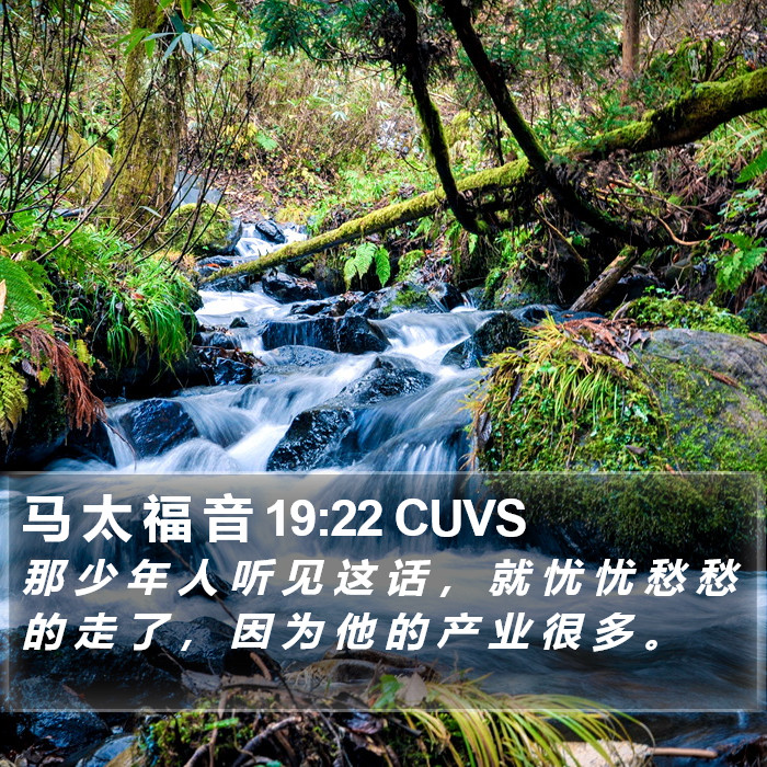 马 太 福 音 19:22 CUVS Bible Study