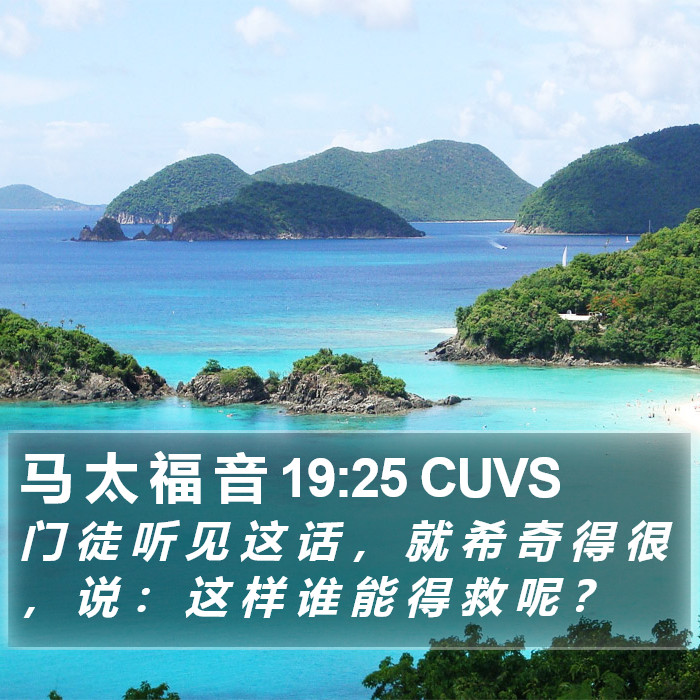 马 太 福 音 19:25 CUVS Bible Study