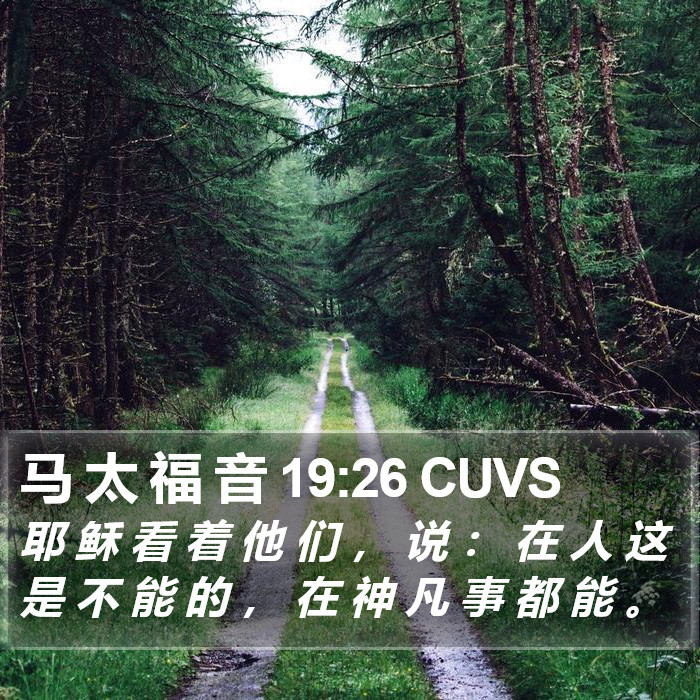 马 太 福 音 19:26 CUVS Bible Study