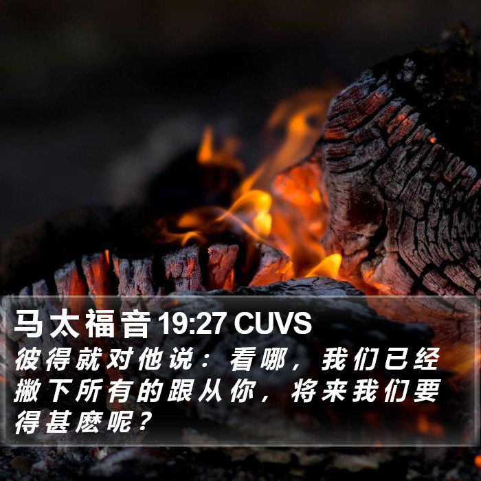 马 太 福 音 19:27 CUVS Bible Study