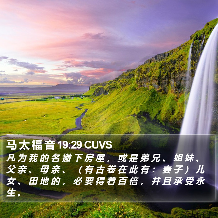 马 太 福 音 19:29 CUVS Bible Study