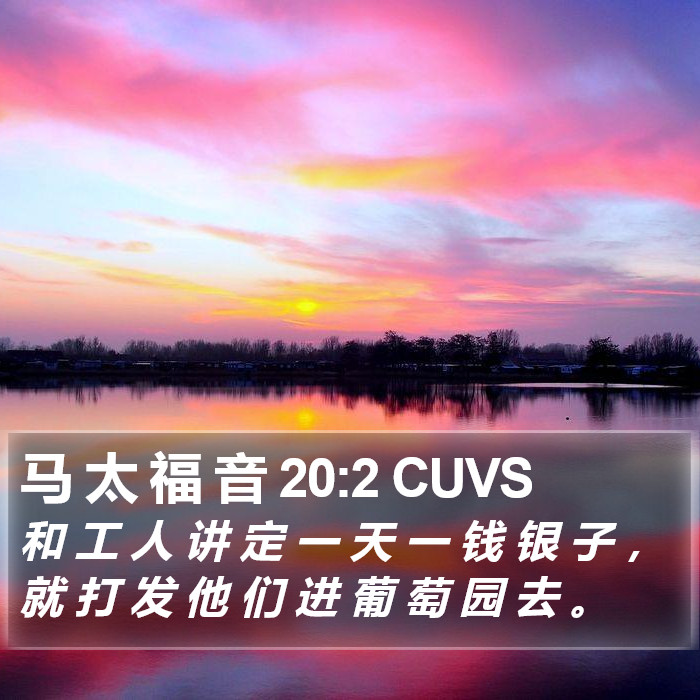 马 太 福 音 20:2 CUVS Bible Study