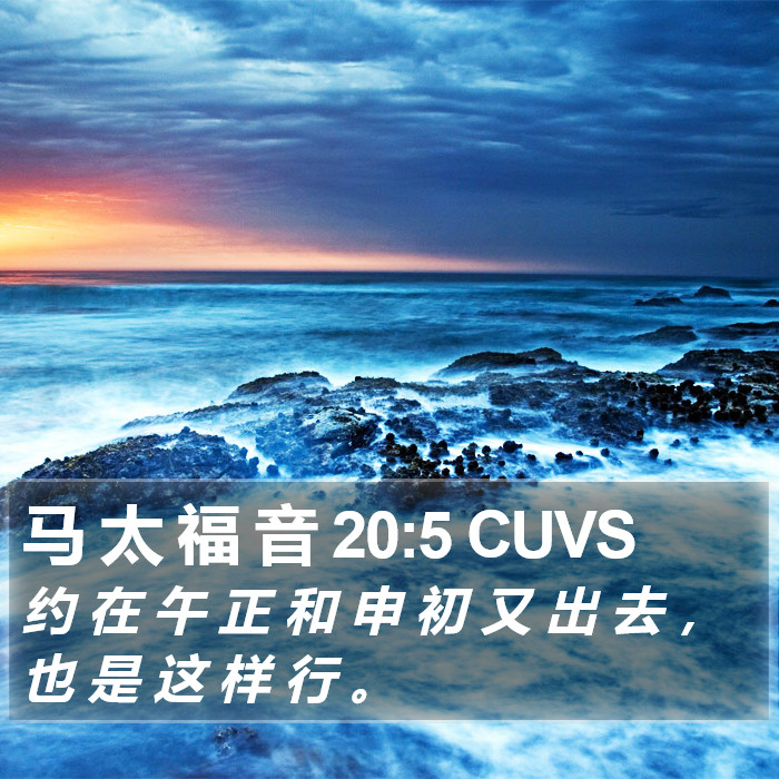 马 太 福 音 20:5 CUVS Bible Study