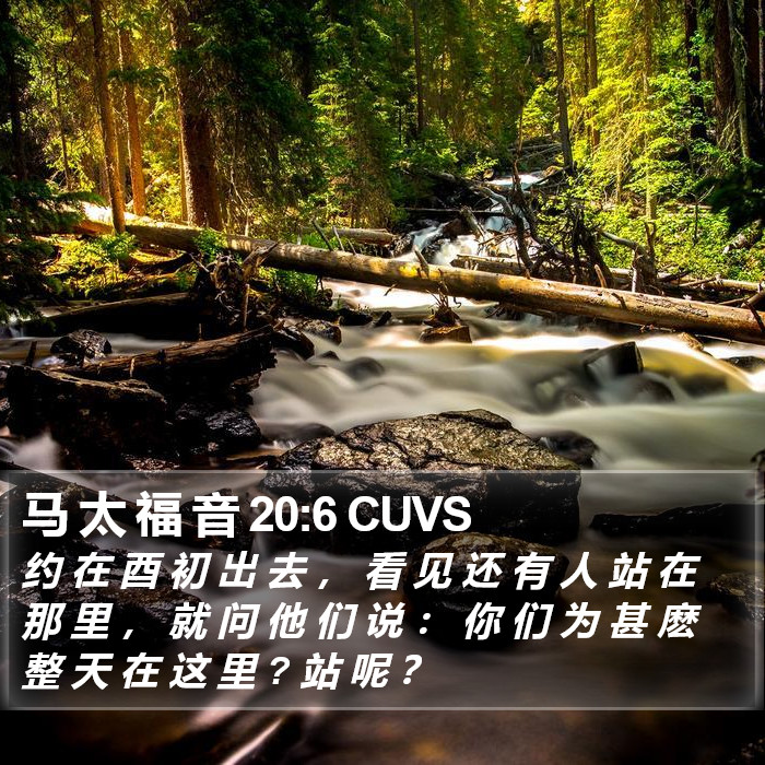 马 太 福 音 20:6 CUVS Bible Study