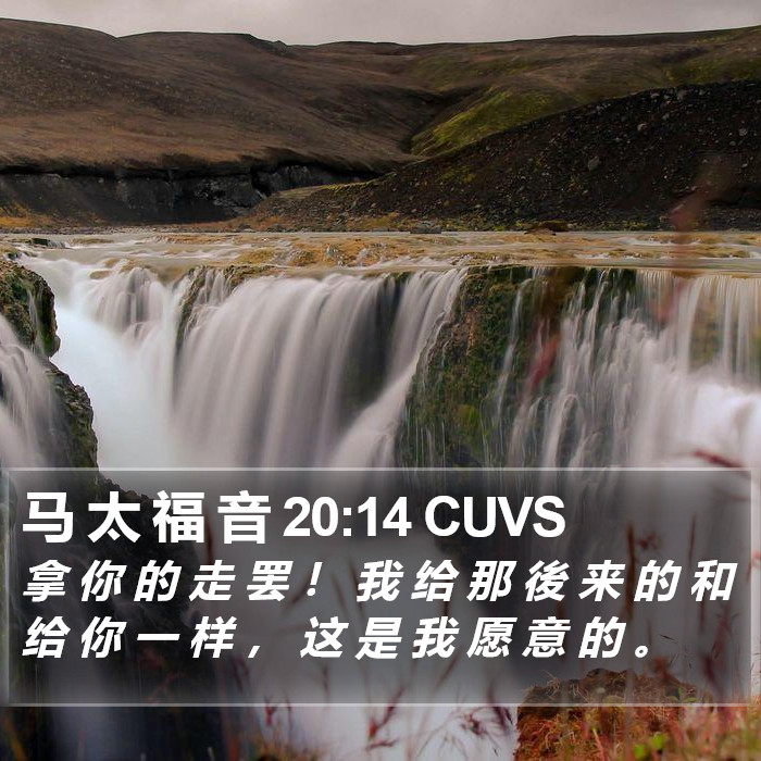 马 太 福 音 20:14 CUVS Bible Study