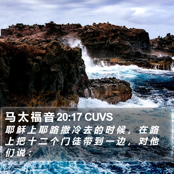 马 太 福 音 20:17 CUVS Bible Study