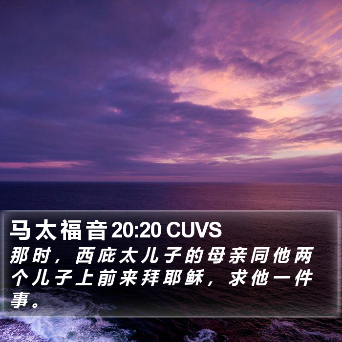 马 太 福 音 20:20 CUVS Bible Study
