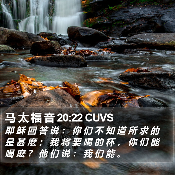 马 太 福 音 20:22 CUVS Bible Study