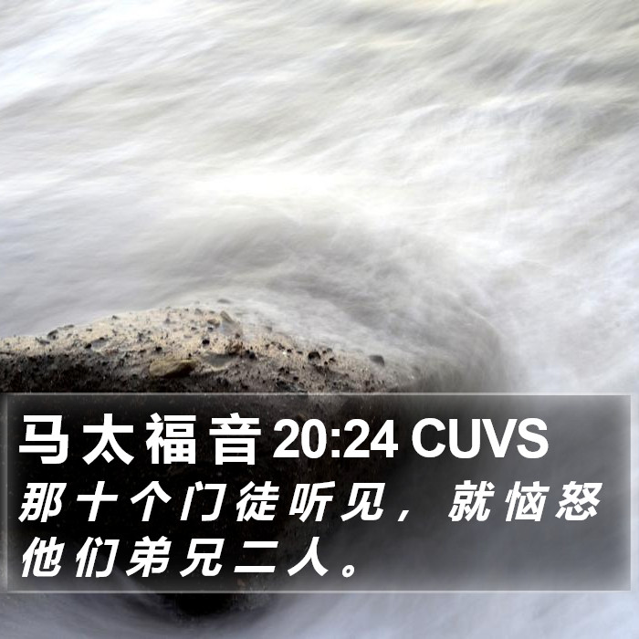 马 太 福 音 20:24 CUVS Bible Study