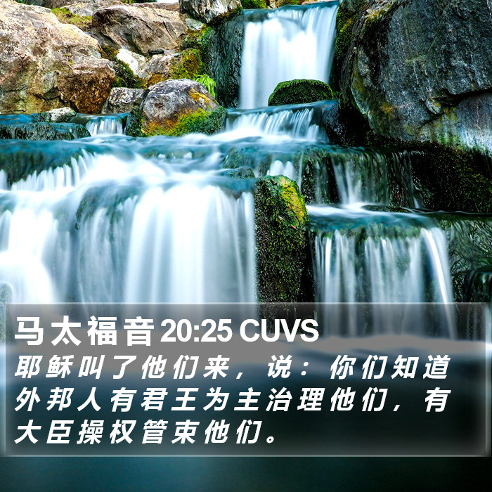 马 太 福 音 20:25 CUVS Bible Study