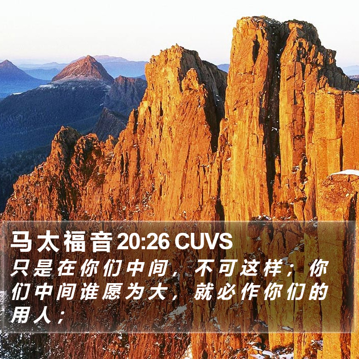 马 太 福 音 20:26 CUVS Bible Study