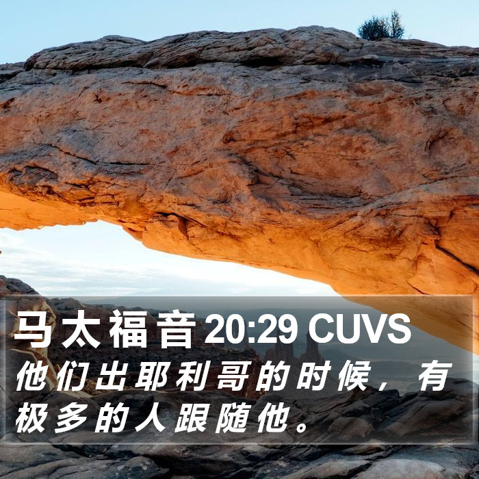 马 太 福 音 20:29 CUVS Bible Study