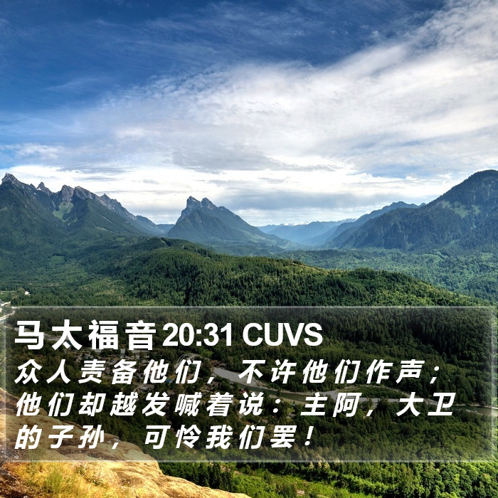 马 太 福 音 20:31 CUVS Bible Study