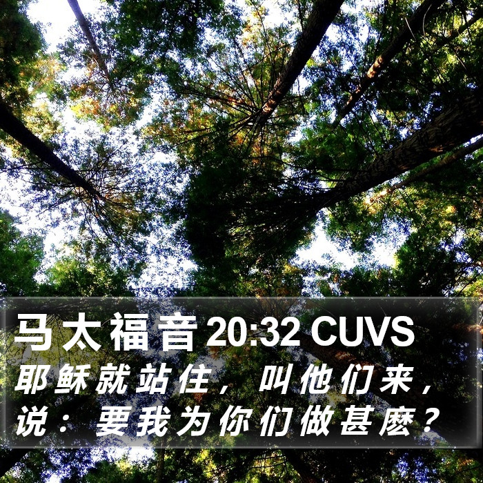 马 太 福 音 20:32 CUVS Bible Study