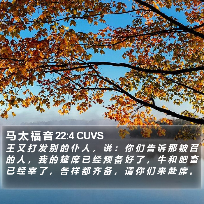 马 太 福 音 22:4 CUVS Bible Study