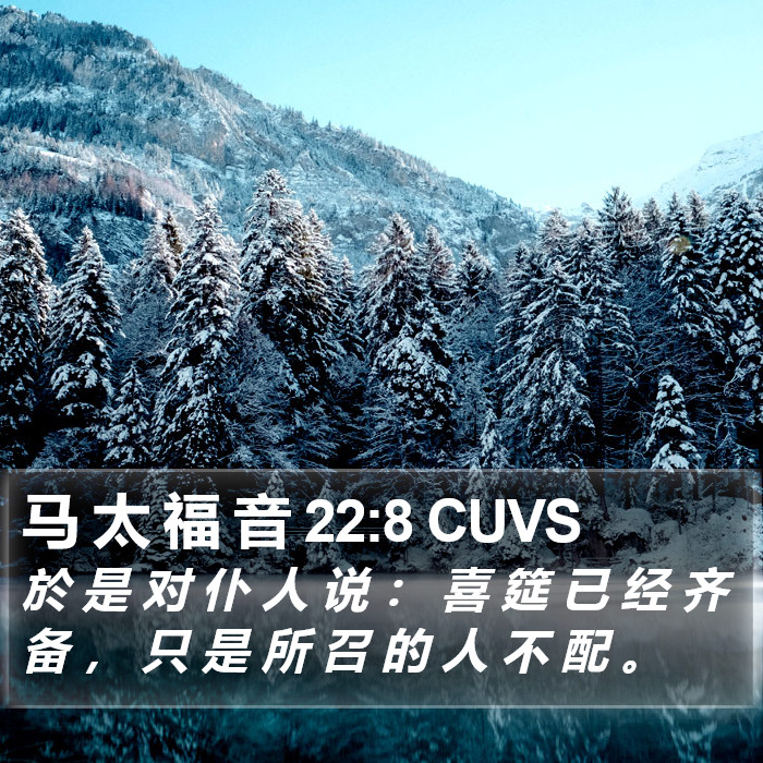 马 太 福 音 22:8 CUVS Bible Study