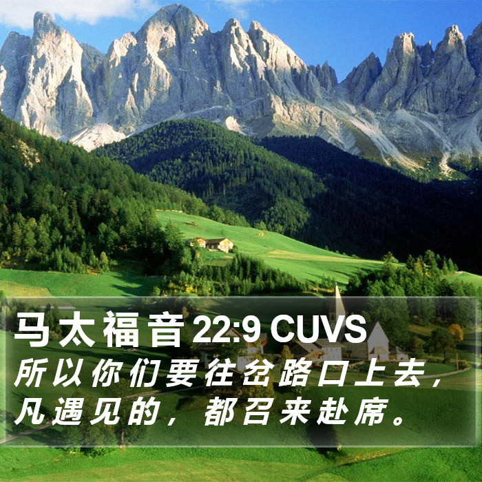 马 太 福 音 22:9 CUVS Bible Study