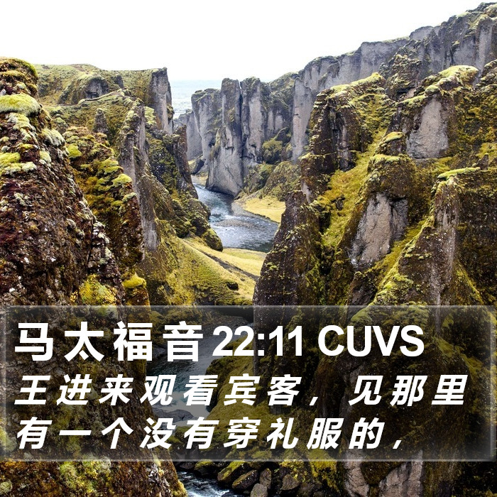 马 太 福 音 22:11 CUVS Bible Study