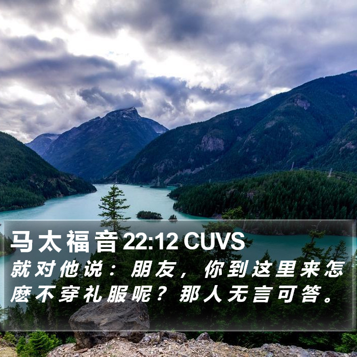 马 太 福 音 22:12 CUVS Bible Study