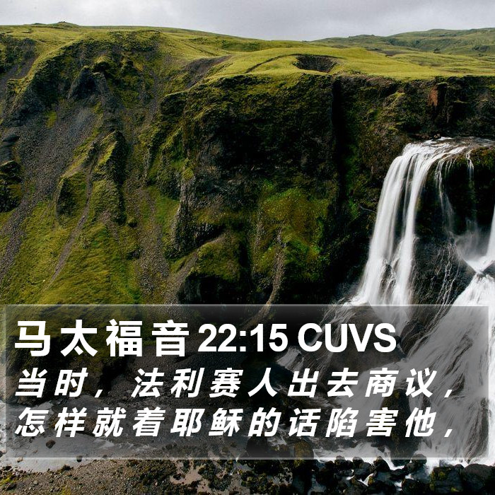 马 太 福 音 22:15 CUVS Bible Study