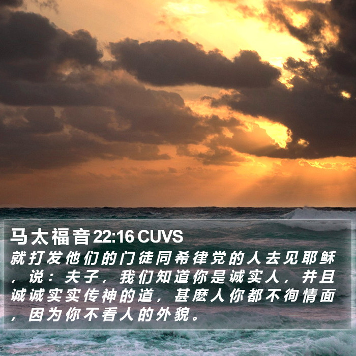 马 太 福 音 22:16 CUVS Bible Study