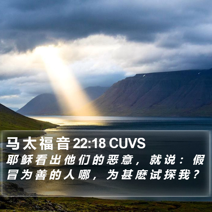 马 太 福 音 22:18 CUVS Bible Study