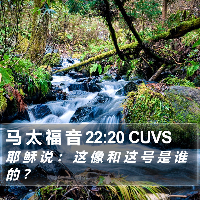 马 太 福 音 22:20 CUVS Bible Study