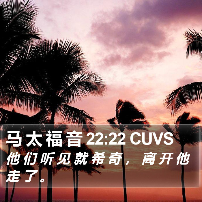 马 太 福 音 22:22 CUVS Bible Study