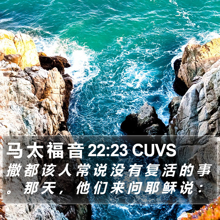 马 太 福 音 22:23 CUVS Bible Study