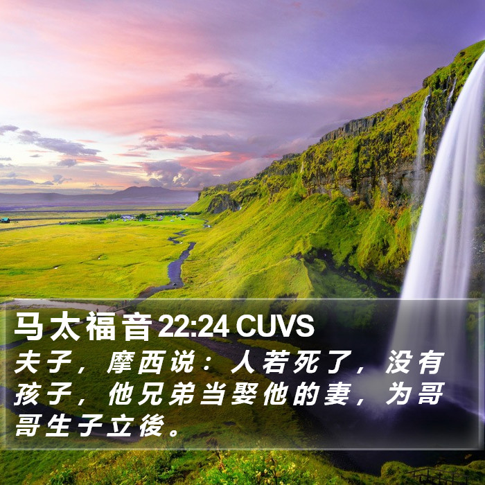 马 太 福 音 22:24 CUVS Bible Study